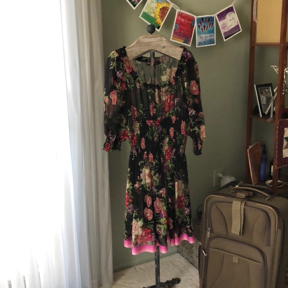 Betsey Johnson sheer dress size medium. Beautiful!